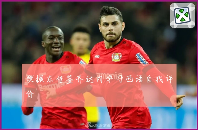 樊振东借鉴齐达内学习西语自我评价